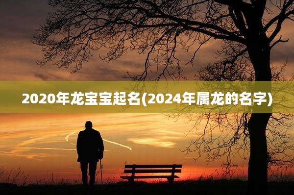 2020年龙宝宝起名(2024年属龙的名字)
