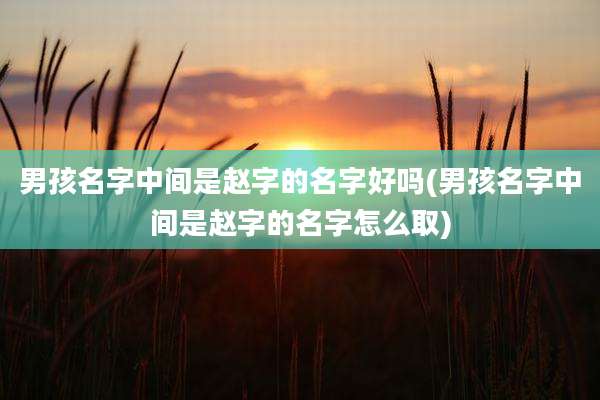 男孩名字中间是赵字的名字好吗(男孩名字中间是赵字的名字怎么取)