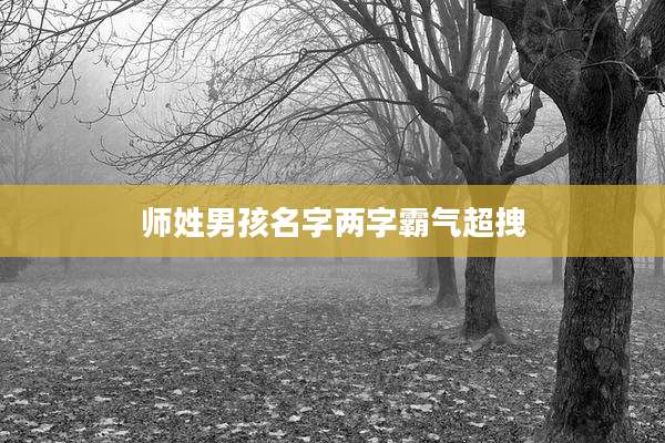 师姓男孩名字两字霸气超拽