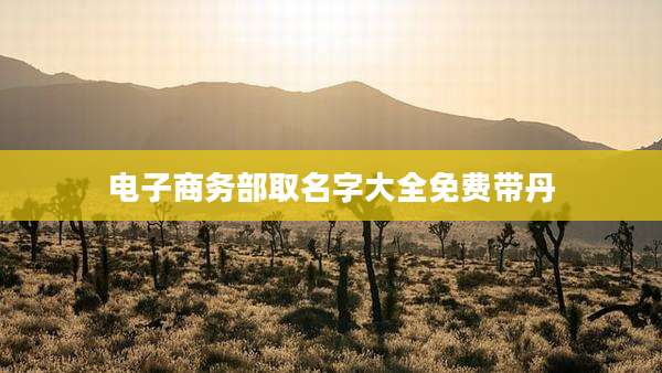 电子商务部取名字大全免费带丹