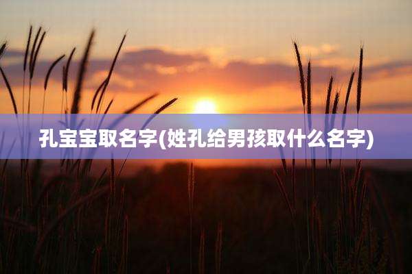 孔宝宝取名字(姓孔给男孩取什么名字)