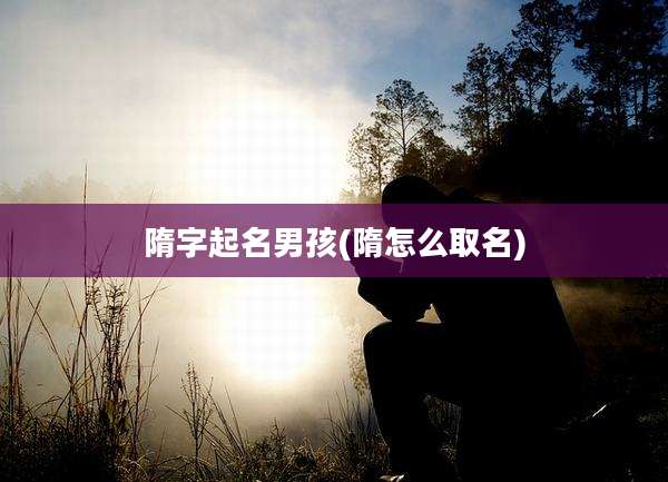 隋字起名男孩(隋怎么取名)