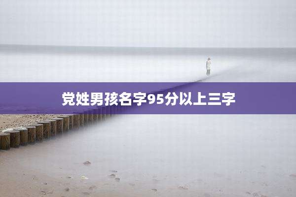 党姓男孩名字95分以上三字