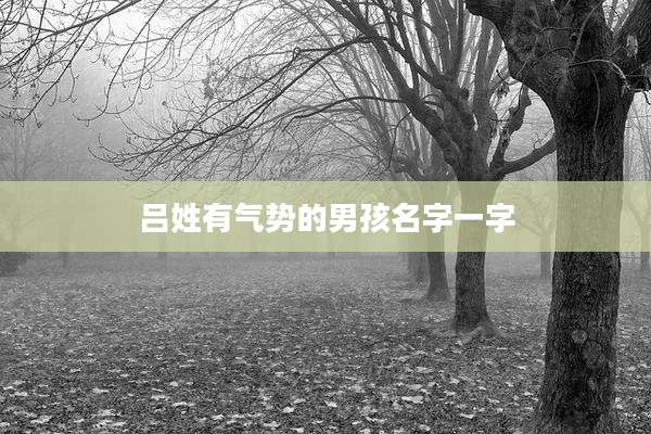 吕姓有气势的男孩名字一字