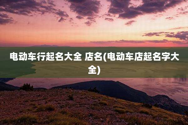 电动车行起名大全 店名(电动车店起名字大全)