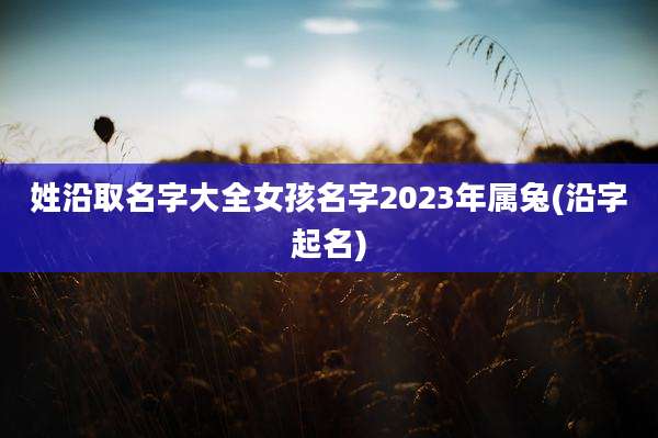 姓沿取名字大全女孩名字2023年属兔(沿字起名)