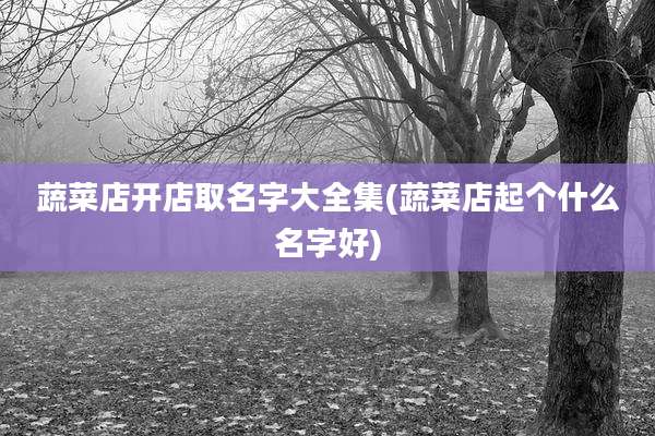 蔬菜店开店取名字大全集(蔬菜店起个什么名字好)