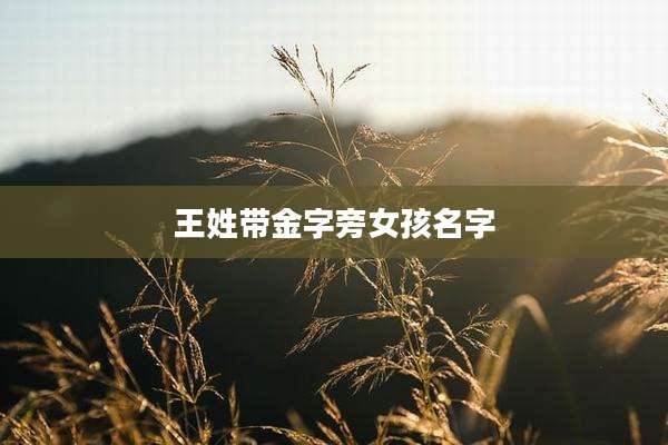 王姓带金字旁女孩名字