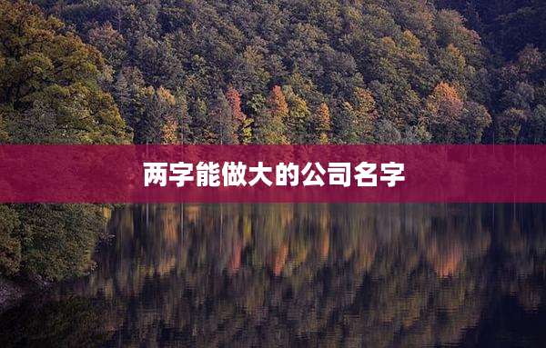 两字能做大的公司名字