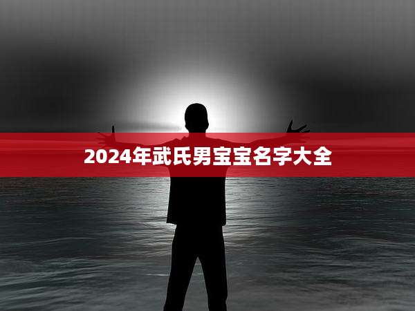 2024年武氏男宝宝名字大全