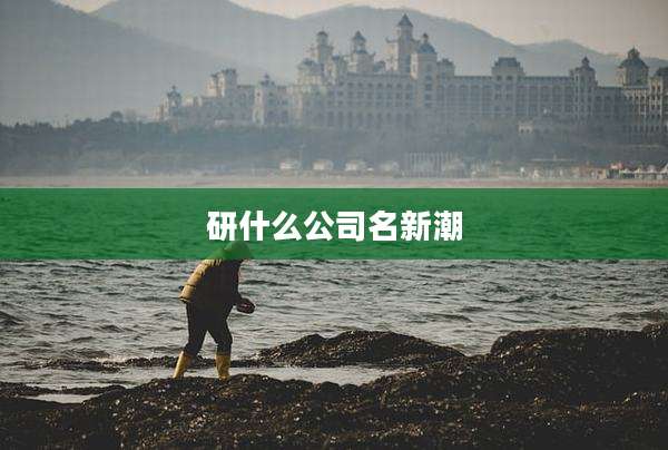 研什么公司名新潮