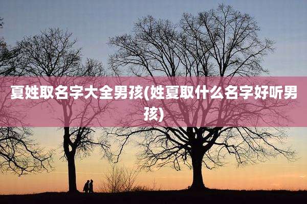 夏姓取名字大全男孩(姓夏取什么名字好听男孩)