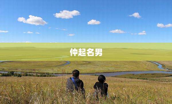 仲起名男