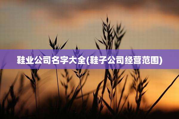 鞋业公司名字大全(鞋子公司经营范围)