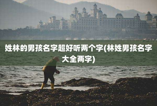 姓林的男孩名字超好听两个字(林姓男孩名字大全两字)