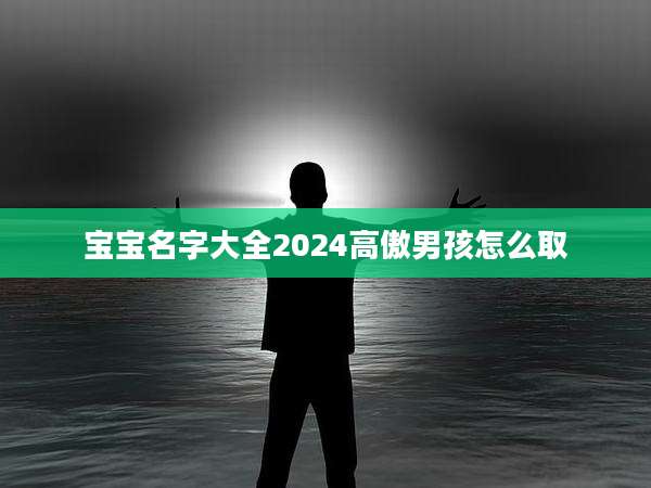 宝宝名字大全2024高傲男孩怎么取