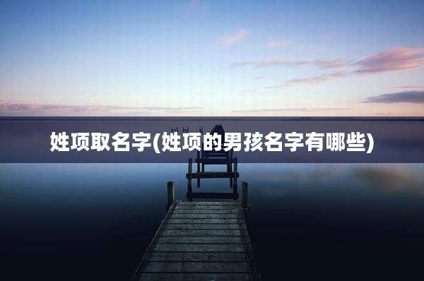 姓项取名字(姓项的男孩名字有哪些)