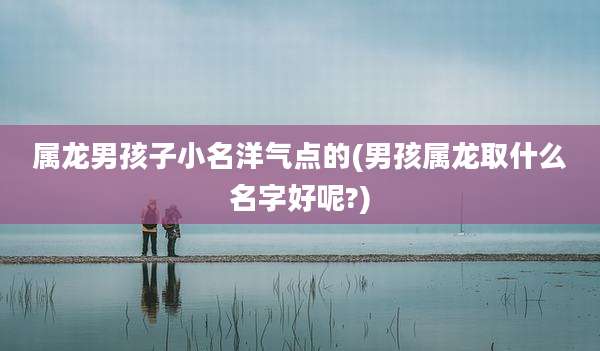 属龙男孩子小名洋气点的(男孩属龙取什么名字好呢?)