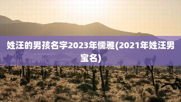 姓汪的男孩名字2023年儒雅(2021年姓汪男宝名)