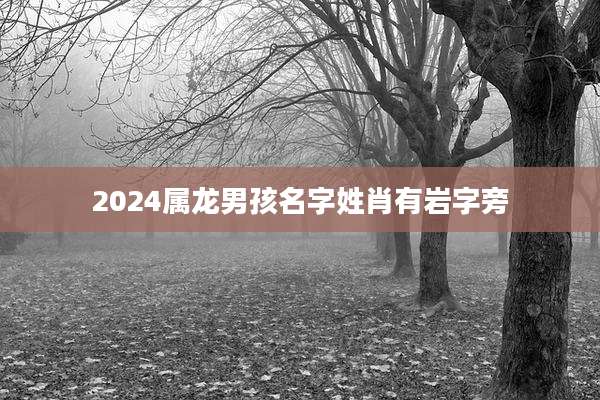 2024属龙男孩名字姓肖有岩字旁