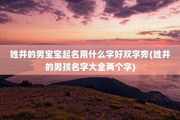 姓井的男宝宝起名用什么字好双字旁(姓井的男孩名字大全两个字)