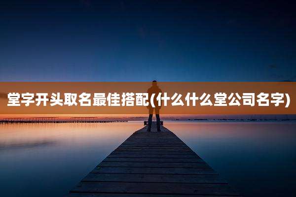 堂字开头取名最佳搭配(什么什么堂公司名字)