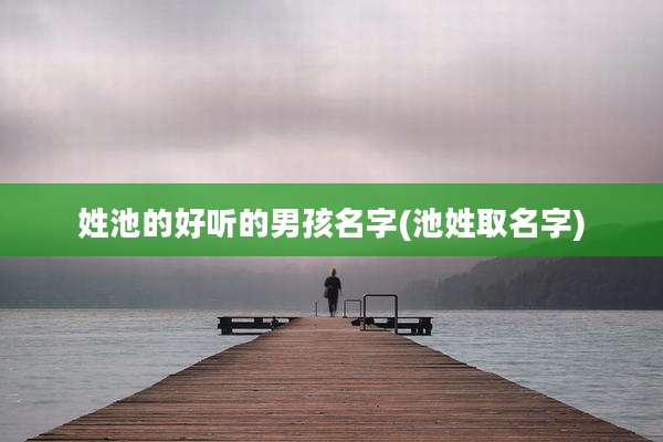 姓池的好听的男孩名字(池姓取名字)