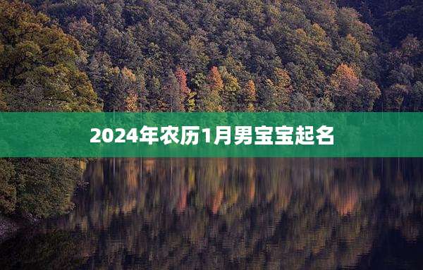 2024年农历1月男宝宝起名