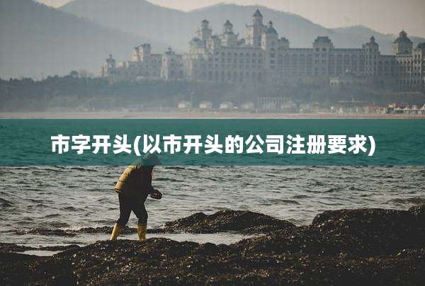 市字开头(以市开头的公司注册要求)