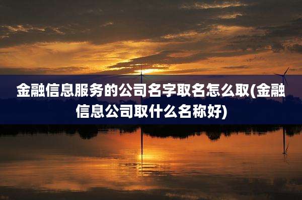 金融信息服务的公司名字取名怎么取(金融信息公司取什么名称好)