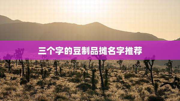 三个字的豆制品摊名字推荐