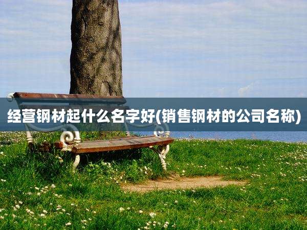 经营钢材起什么名字好(销售钢材的公司名称)