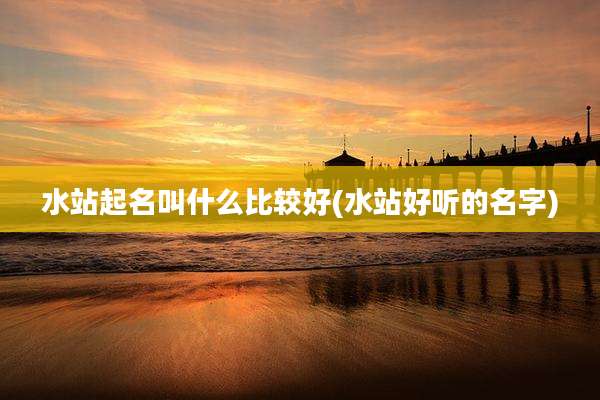 水站起名叫什么比较好(水站好听的名字)