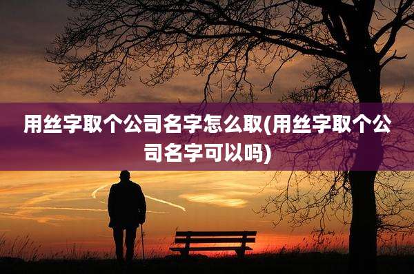 用丝字取个公司名字怎么取(用丝字取个公司名字可以吗)
