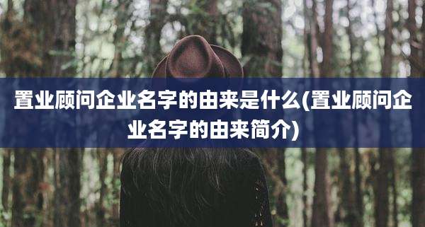 置业顾问企业名字的由来是什么(置业顾问企业名字的由来简介)