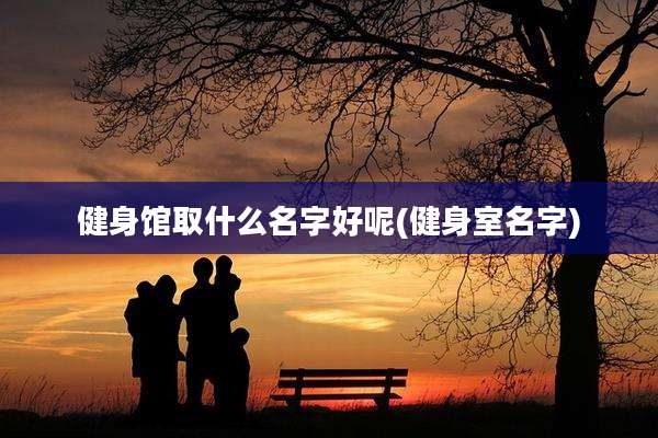 健身馆取什么名字好呢(健身室名字)
