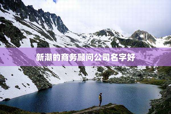 新潮的商务顾问公司名字好
