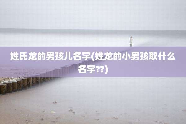 姓氏龙的男孩儿名字(姓龙的小男孩取什么名字??)