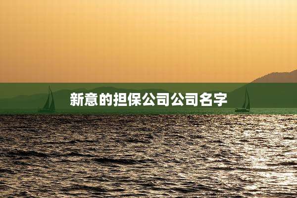 新意的担保公司公司名字