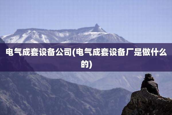 电气成套设备公司(电气成套设备厂是做什么的)