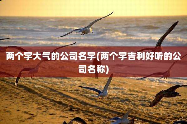 两个字大气的公司名字(两个字吉利好听的公司名称)