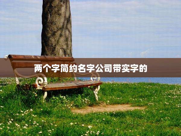 两个字简约名字公司带实字的