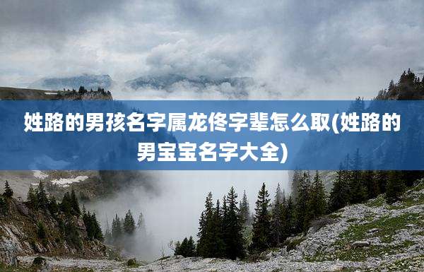 姓路的男孩名字属龙佟字辈怎么取(姓路的男宝宝名字大全)