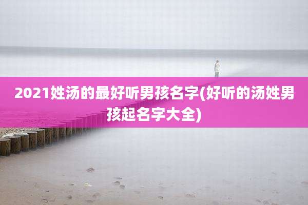 2021姓汤的最好听男孩名字(好听的汤姓男孩起名字大全)
