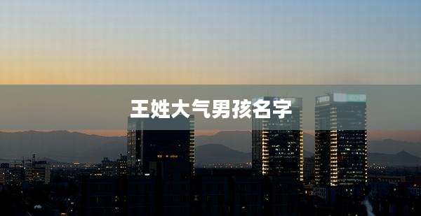 王姓大气男孩名字