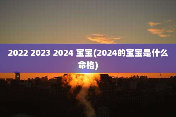 2022 2023 2024 宝宝(2024的宝宝是什么命格)