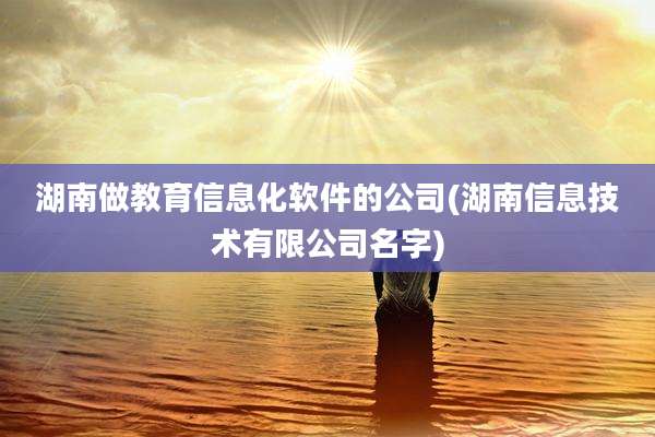 湖南做教育信息化软件的公司(湖南信息技术有限公司名字)