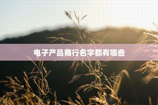 电子产品商行名字都有哪些