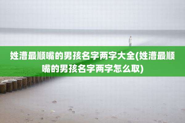 姓漕最顺嘴的男孩名字两字大全(姓漕最顺嘴的男孩名字两字怎么取)