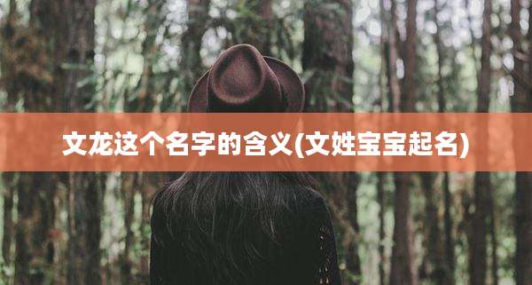 文龙这个名字的含义(文姓宝宝起名)